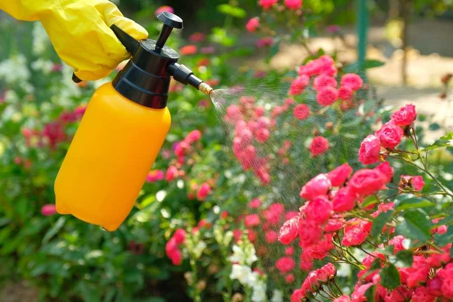 Is Cutter Backyard Spray Safe for Plants?