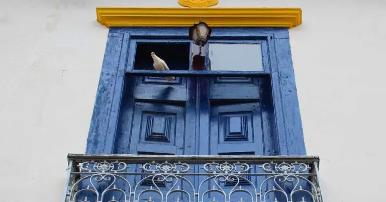 How to Keep Pigeons Away From Windows? (Explained)