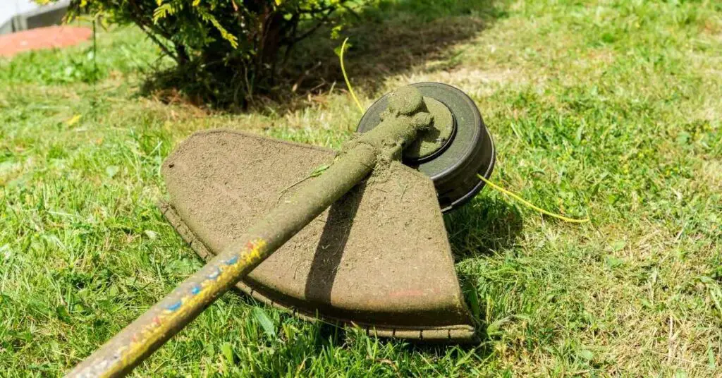 How To Cut Your Grass Like A Putting Green