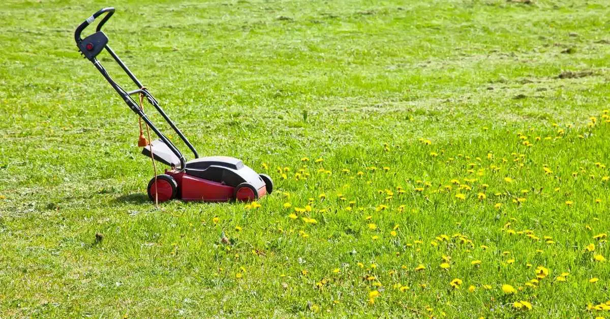 Can You Leave a Lawn Mower Outside in the Rain?