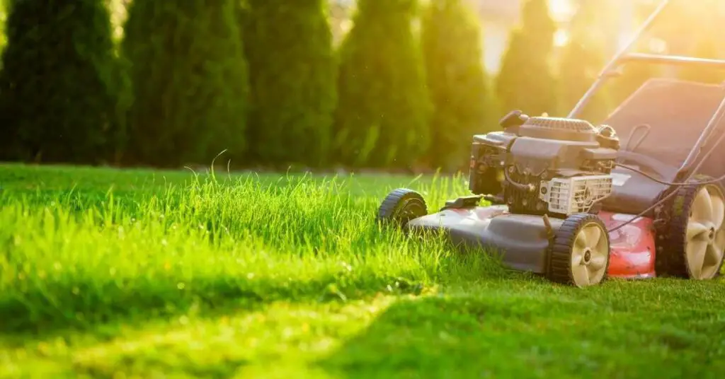 Can a Lawn Mower Burn Grass?