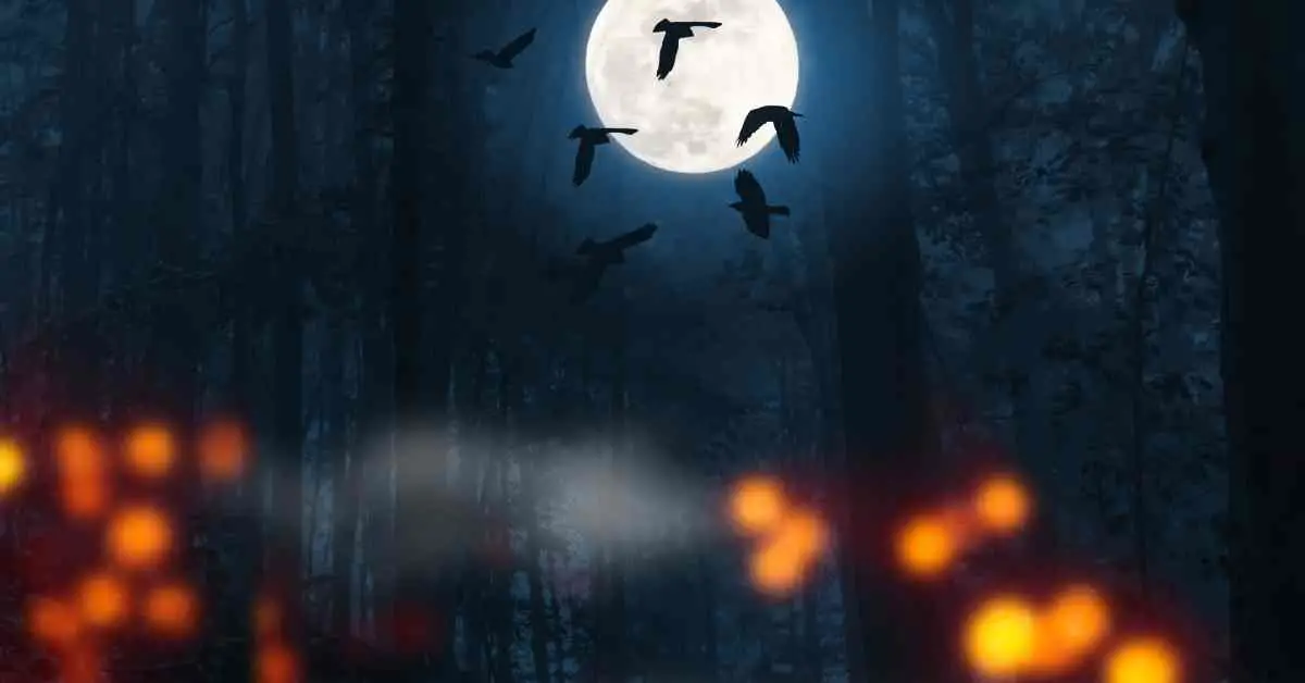 Do Crows Fly At Night?