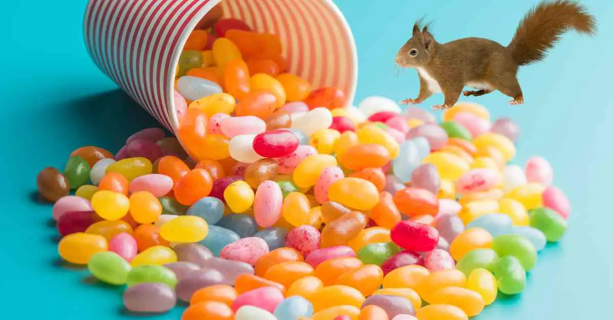 Do Squirrels Eat Jelly Beans?
